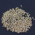 Gajra Beads