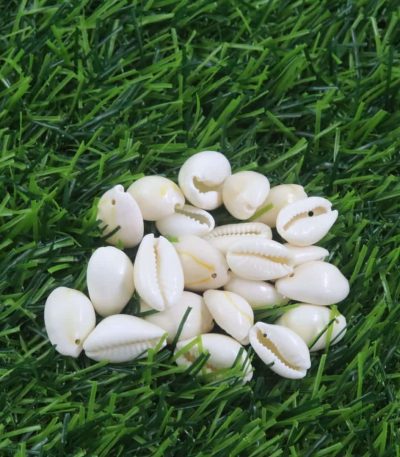 কৌড়ি